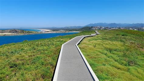 Muttonbird Island Nature Reserve - Aussie Bushwalking