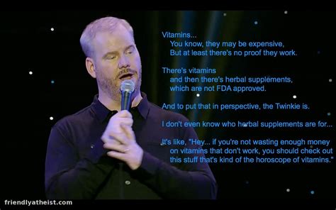 Jim Gaffigan Quotes. QuotesGram