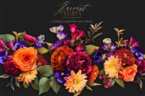 Harvest Moon Moody Floral Clip Art Graphics Collection – Avalon Rose Design