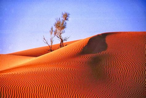 Rub al-khali desert,Arabian Peninsula: | Natureza