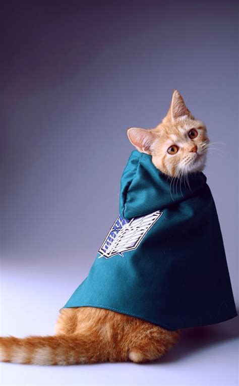 mlpiceking | Pet costumes cat, Cat cosplay, Cats