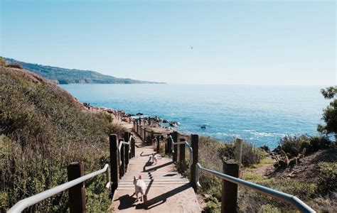 Terranea Resort Palos Verdes • Where's The Frenchie?