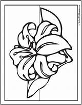 Coloring Book Lily Pages sketch template