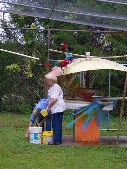 Two volunteers help with the feeding and cleaning.