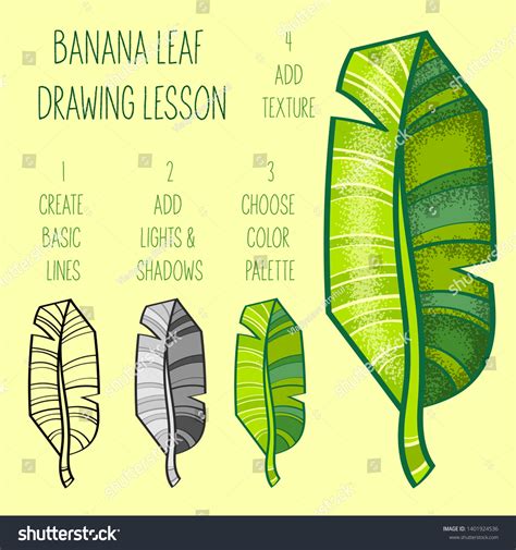 Banana Leaf Drawing Lesson Vector Leaf Stock Vector (Royalty Free ...