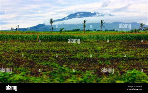 Mount Isarog, Naga City, Philippines Stock Photo - Alamy