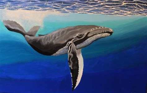 Humpback Whale: Painting of a humpback whale - Wildlife & Landscape Paintings