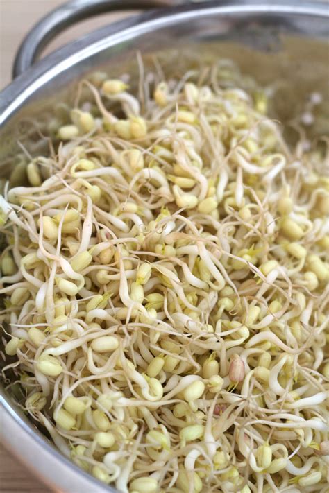 Sprouted Mung Beans Pinoy Recipe | Besto Blog