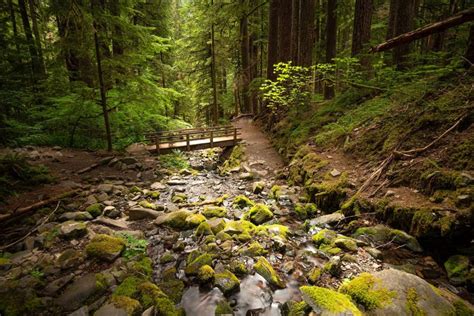 Ultimate Guide To Sol Duc Falls Trail in Washington For 2022 - Hiking Washington