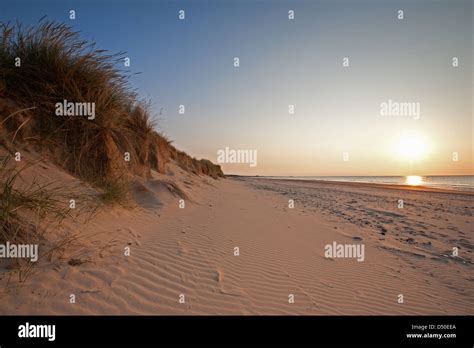 ENGLAND; NORFOLK; HOLKHAM; BEACH; SUNSET; DUNES; GRASS; SEA Stock Photo ...