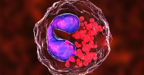 Understanding Eosinophils and E-Asthma - Sharecare