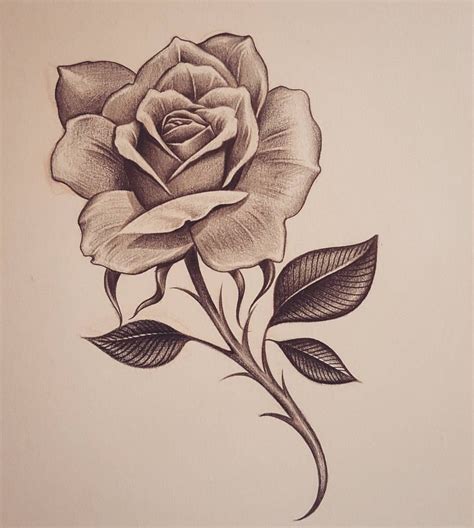 Pin by KRISTEN MORGAN on Dibujos para bordar | Rose drawing tattoo ...