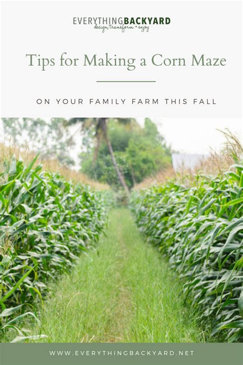 Tips for Making a Corn Maze on Your Family Farm This Fall | Corn maze, Farm, Growing corn