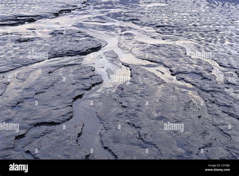 Turnagain, Cook Inlet, Alaska, USA, America, brook, low, ebb, tide, erosion, Estuar, estuary ...