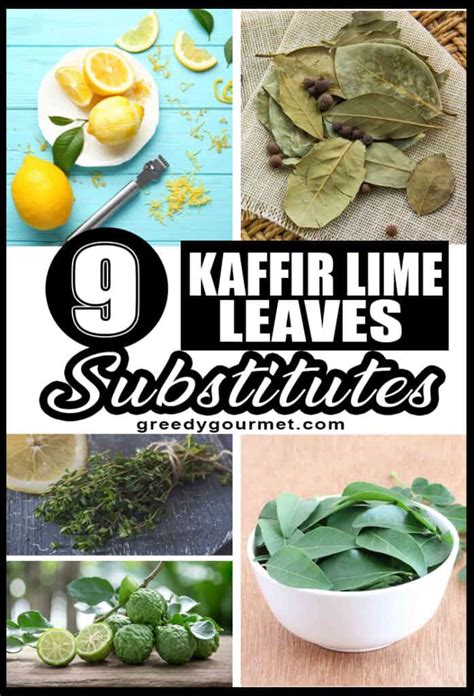 9 Kaffir Lime Leaves Substitutes - The Best Substitutes & Their Applications