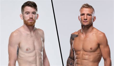 TJ Dillashaw vs Cory Sandhagen scheduled for July 24