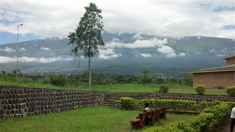 Mount Cameroon Trekking and Hiking Tour