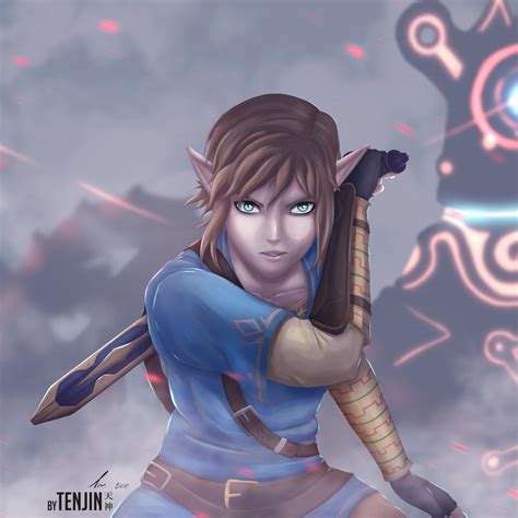 Link - Breath of the Wild | Fanart : r/Breath_of_the_Wild