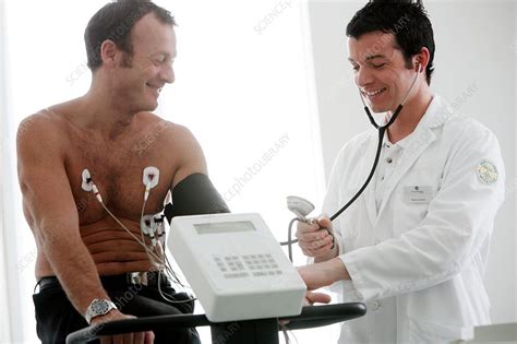 Heart fitness test - Stock Image - F001/3088 - Science Photo Library