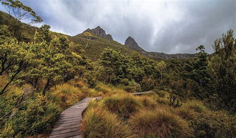 Cradle Mountain-Lake St Clair National Park, Tasmania - Australian ...