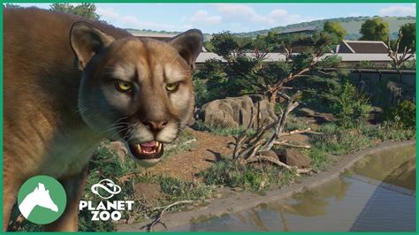 Cougar Habitat | Elm Hill City Zoo | Planet Zoo - YouTube