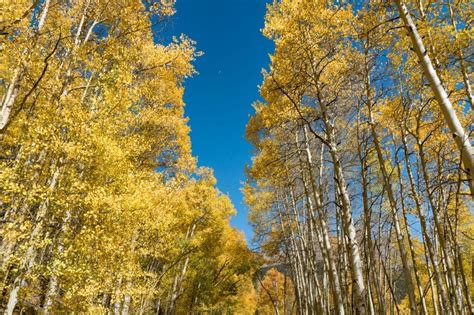 Top 10 Scenic Mountain Passes in Colorado | Best Alpine Roads in CO