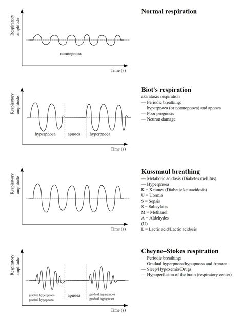 Ataxic Breathing