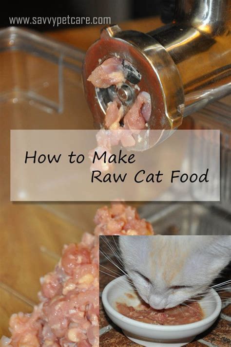 Raw Cat Food - How to make raw cat food - Savvy Pet Care | Raw cat food recipes, Homemade cat ...