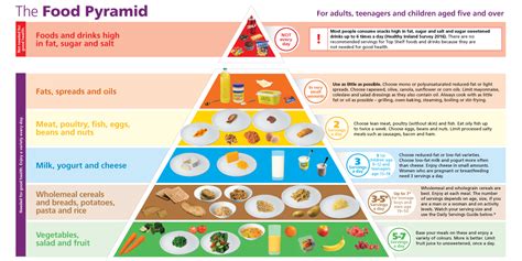 Latest Food Pyramid 2024 - Kaye Savina