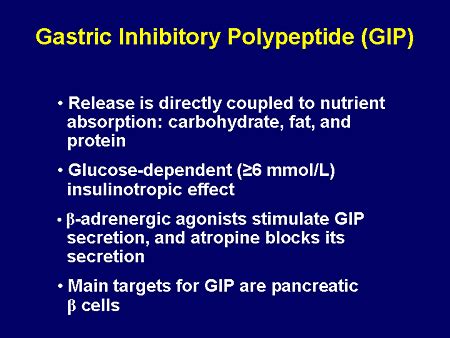 Gastric Inhibitory Polypeptide; Glucose-Dependent Insulinotropic Peptide