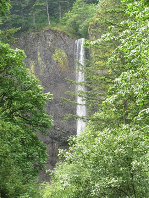 Backyard Excursions: Columbia Gorge Waterfalls