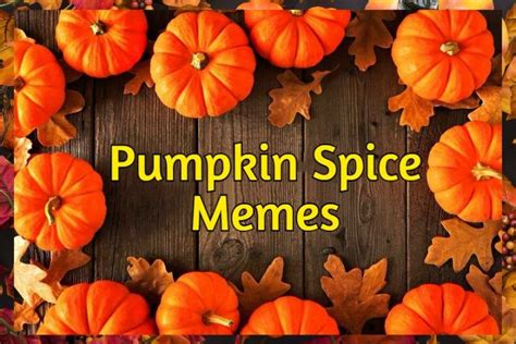 38 Pumpkin Spice Memes Images And Quotes - Dreams Quote