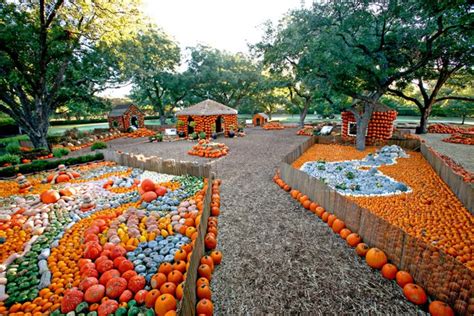 Dallas Arboretum and Botanical Garden Autumn Pumpkin Festival