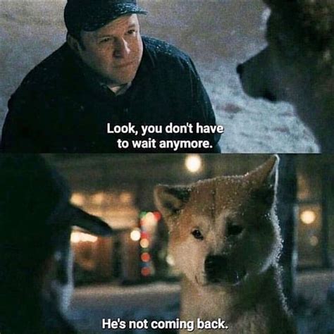 Movie Quotes on Instagram: “Hachi: A Dog’s Tale (2009) 🍿 Vía ...