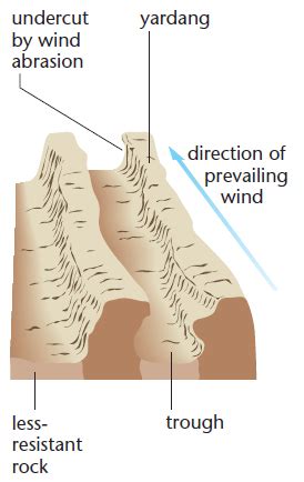 Features produced by Wind Erosion - Geography A-Level Revision