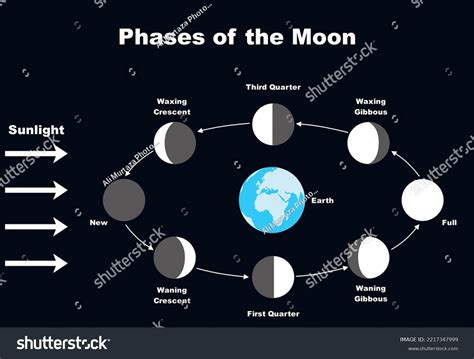 Phases Earths Moon Stock Illustration 2217347999 | Shutterstock