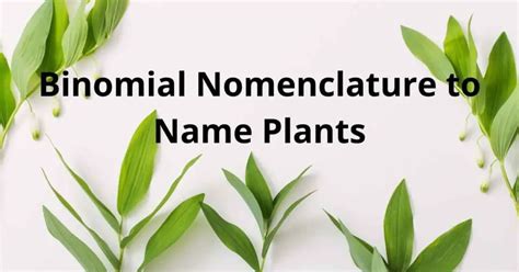 Why is Binomial Nomenclature Used to Name Plants?