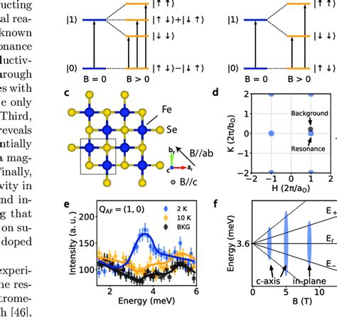 (a) Schematic illustration of the Zeeman splitting of the spin-exciton ...