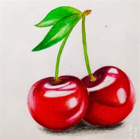 Red cherry | Realistic pencil drawings, Fruit art drawings, Realistic drawings