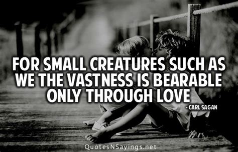 Famous quotes about 'Vastness' - Sualci Quotes 2019