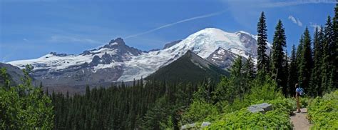 Glacier Basin Loop — Washington Trails Association