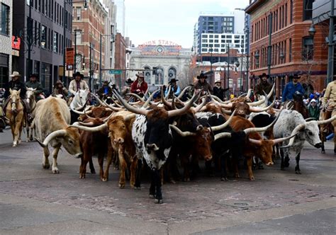 Photos: National Western Stock Show Parade 2023 in downtown Denver