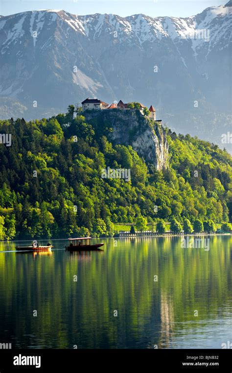 Lake Bled with Bled castle and a flat bottomed boat called a Pletna. Bled Slovania Stock Photo ...