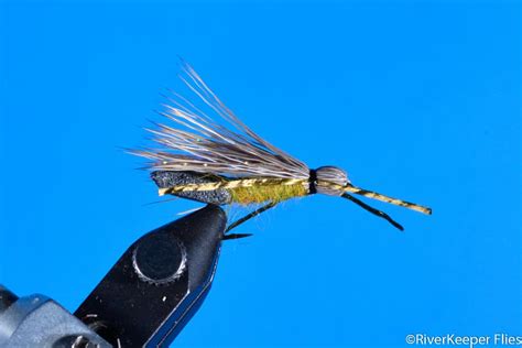 Skwala Dry Fly #2 - RiverKeeper Flies