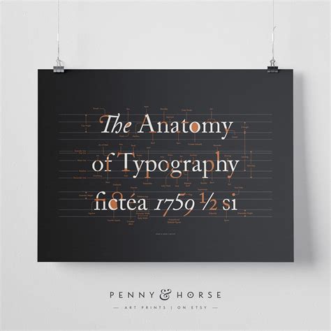 The Anatomy of Typography Poster Font Design Typography | Etsy