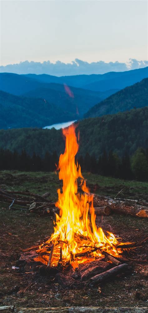 FireWood Campfire Mountain Wallpaper - [1440x3040]