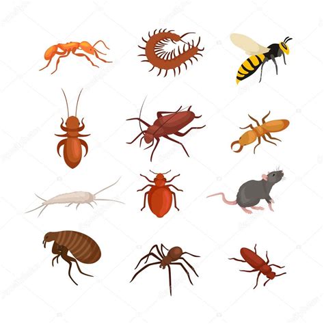 Pest Control Images Free Download | Pest Control