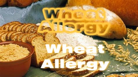 Wheat Allergy – Dr Renu Madan