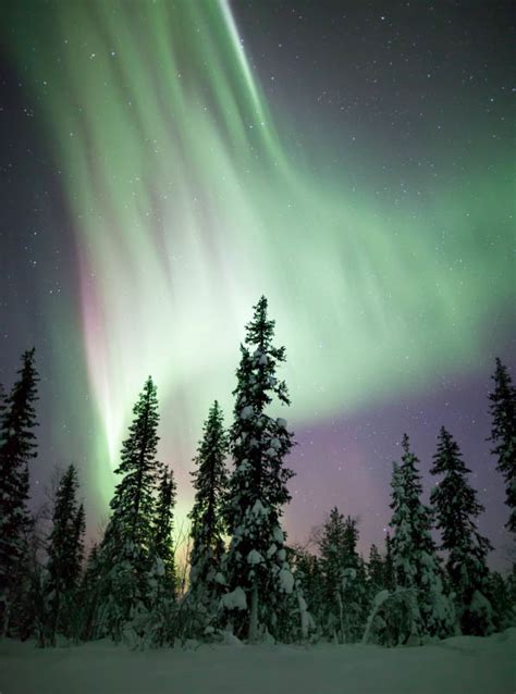 5 Tips for Photographing the Northern Lights - Gray Line Alaska