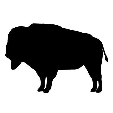 Buffalo Clipart Pictures – Clipartix